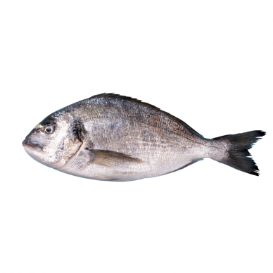 Auksaspalvė dorada, 1 kg